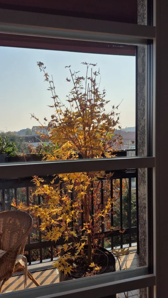 Balcone Milano centro
