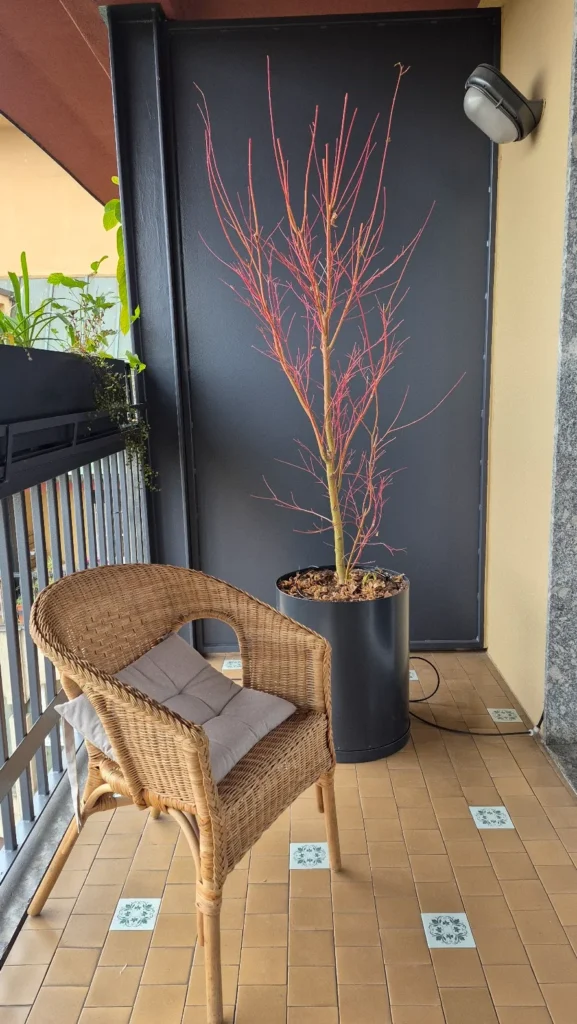 Balcone Milano centro