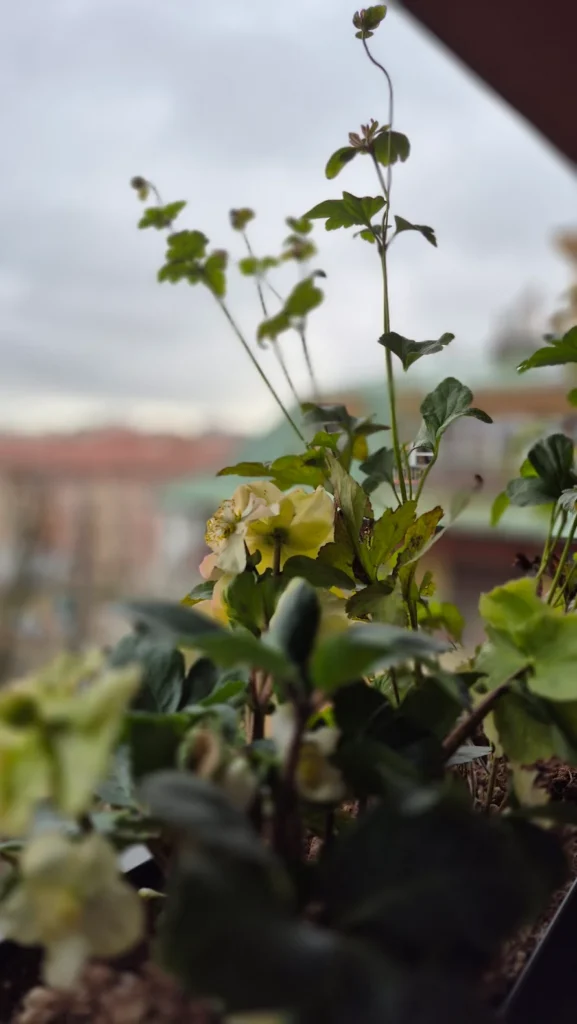Balcone Milano centro