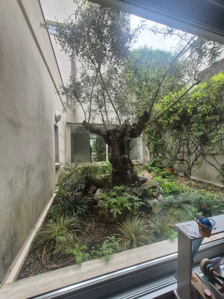 Cortile loft