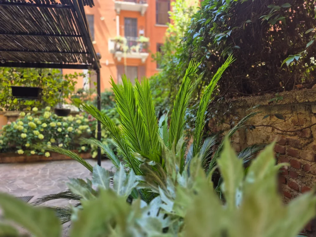 Cortile Porta Romana
