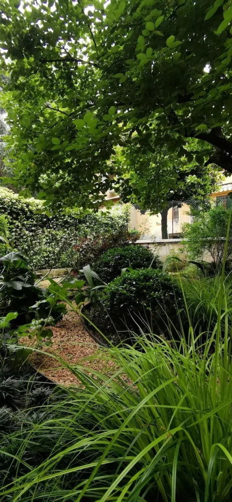 Giardino erbacce spontanee