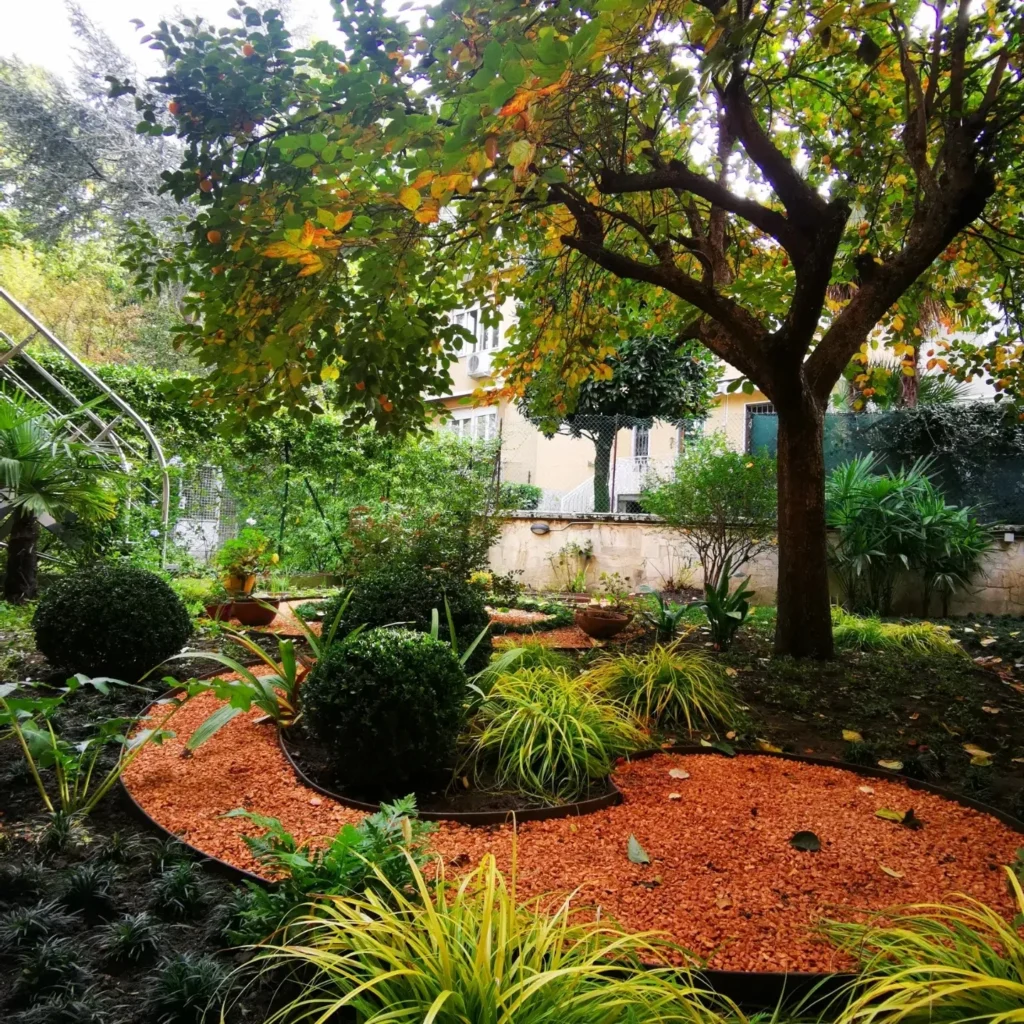 Giardino erbacce spontanee