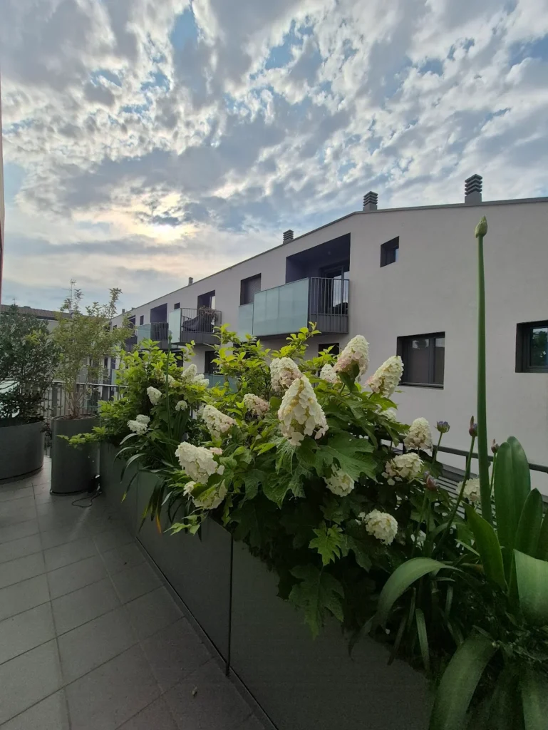 Giardino olistico