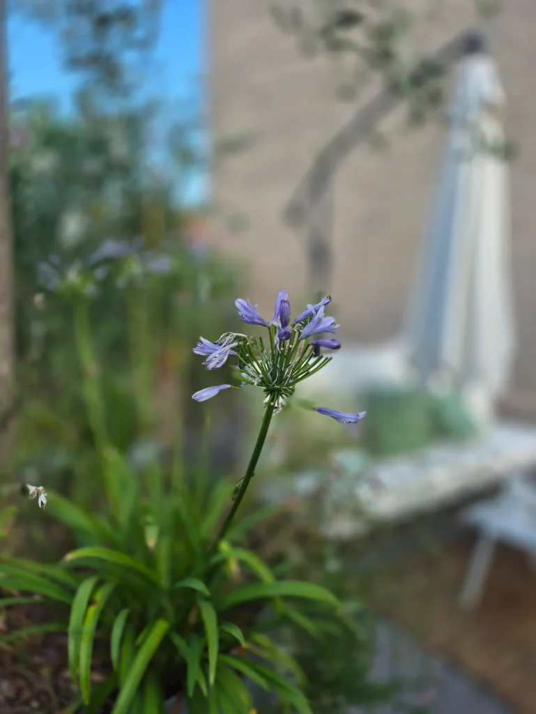 Giardino olistico
