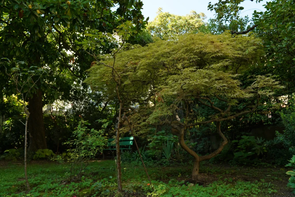 Giardino storico Milano