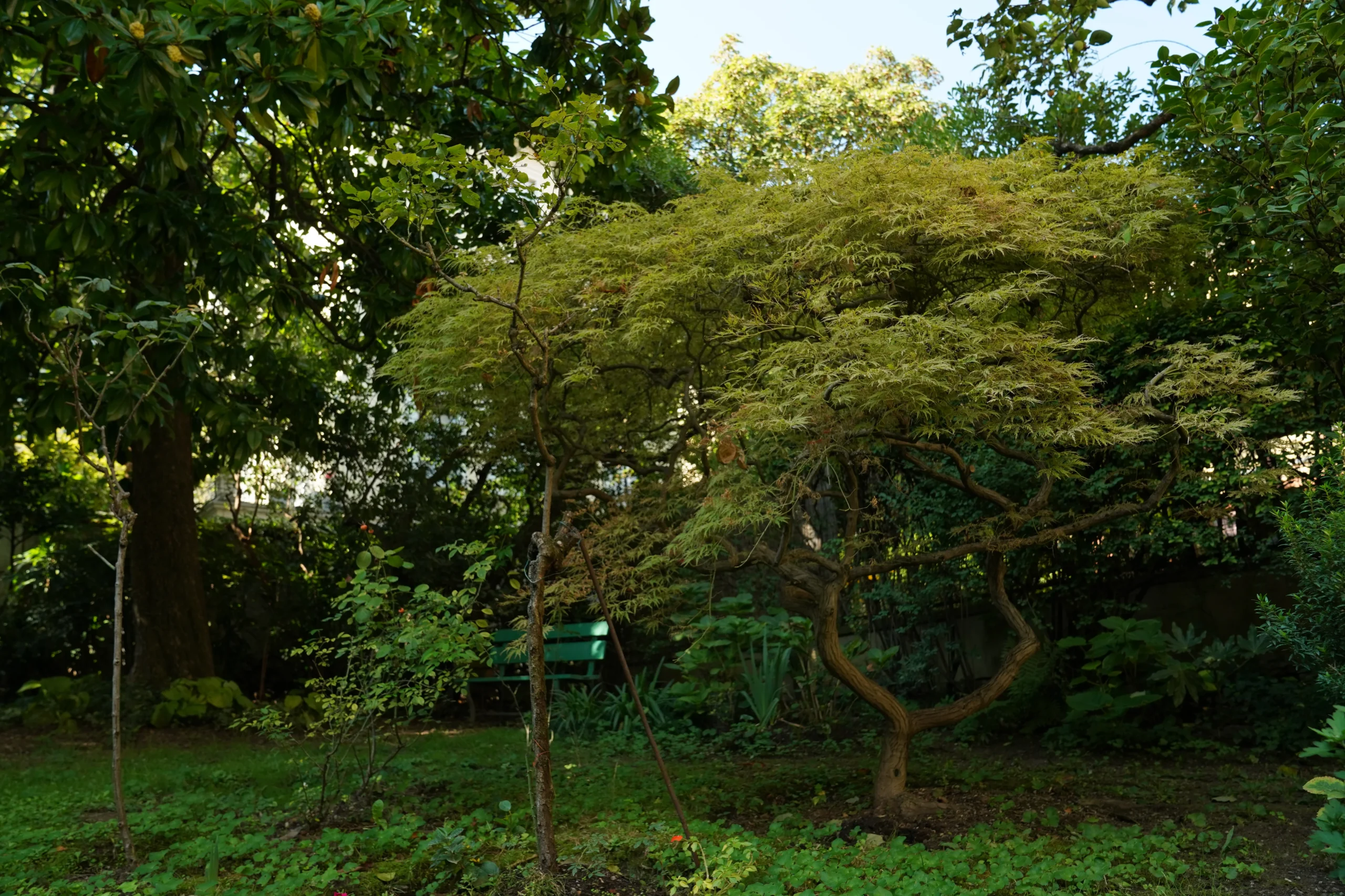 Giardino storico Milano