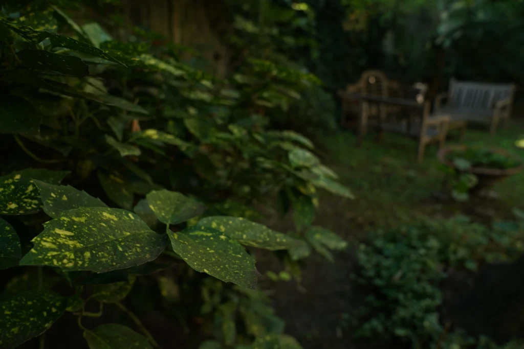 Giardino storico Milano