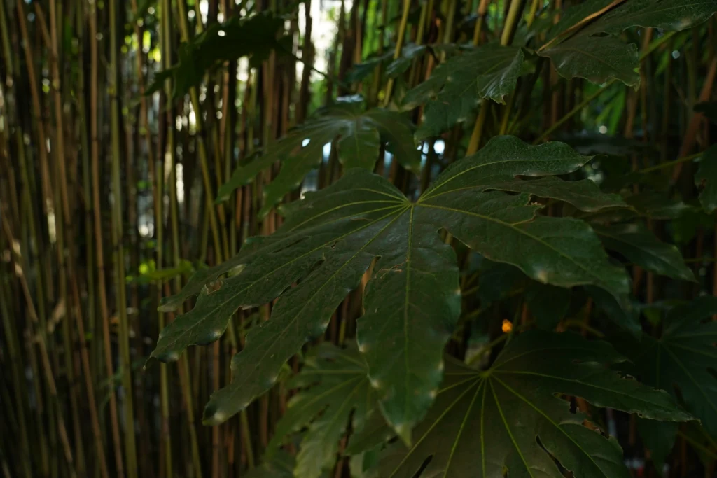 Giardino storico Milano