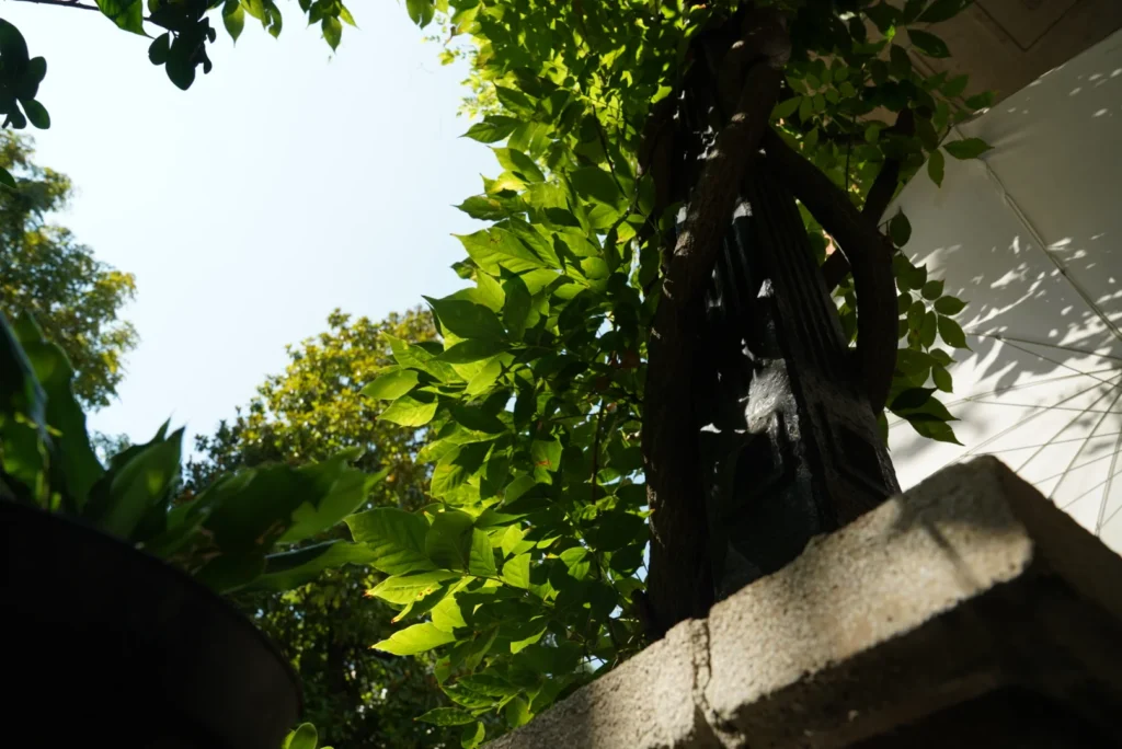 Giardino storico Milano