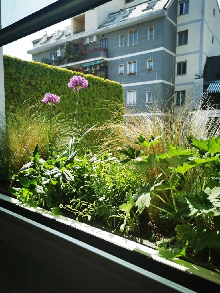 Terrazza Viale Piave