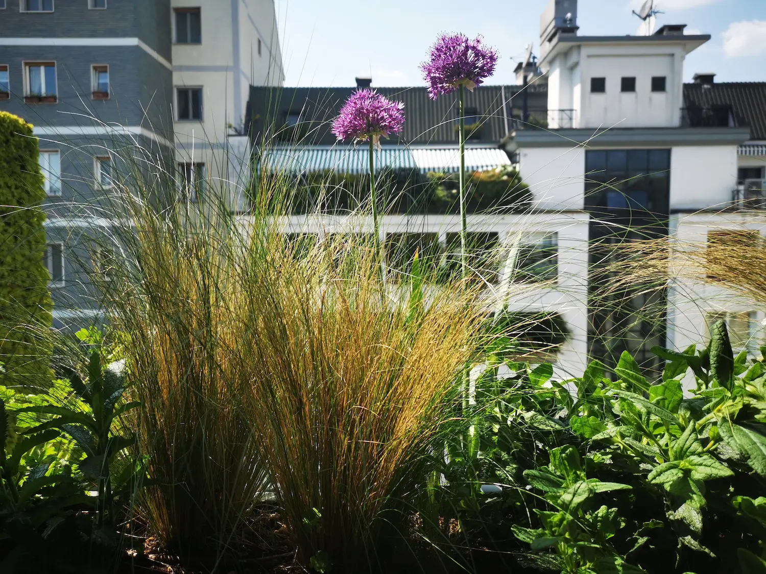 Terrazza Viale Piave