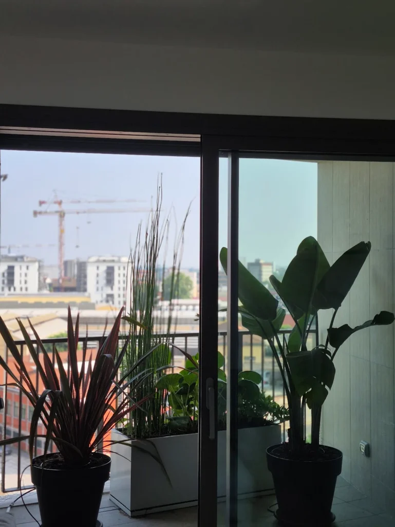 Terrazzi esotici