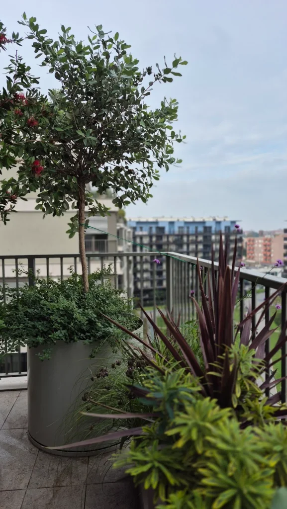Terrazzi esotici