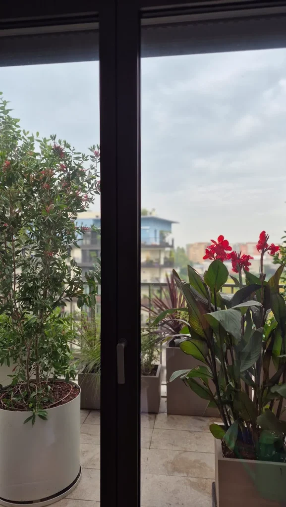 Terrazzi esotici