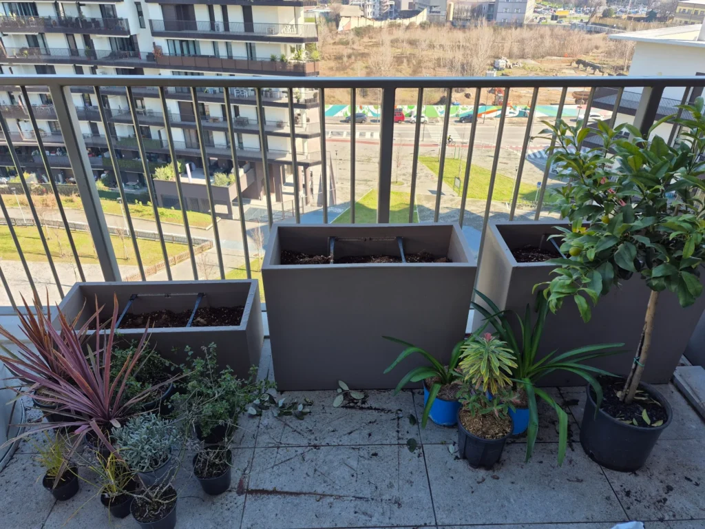 Terrazzi esotici