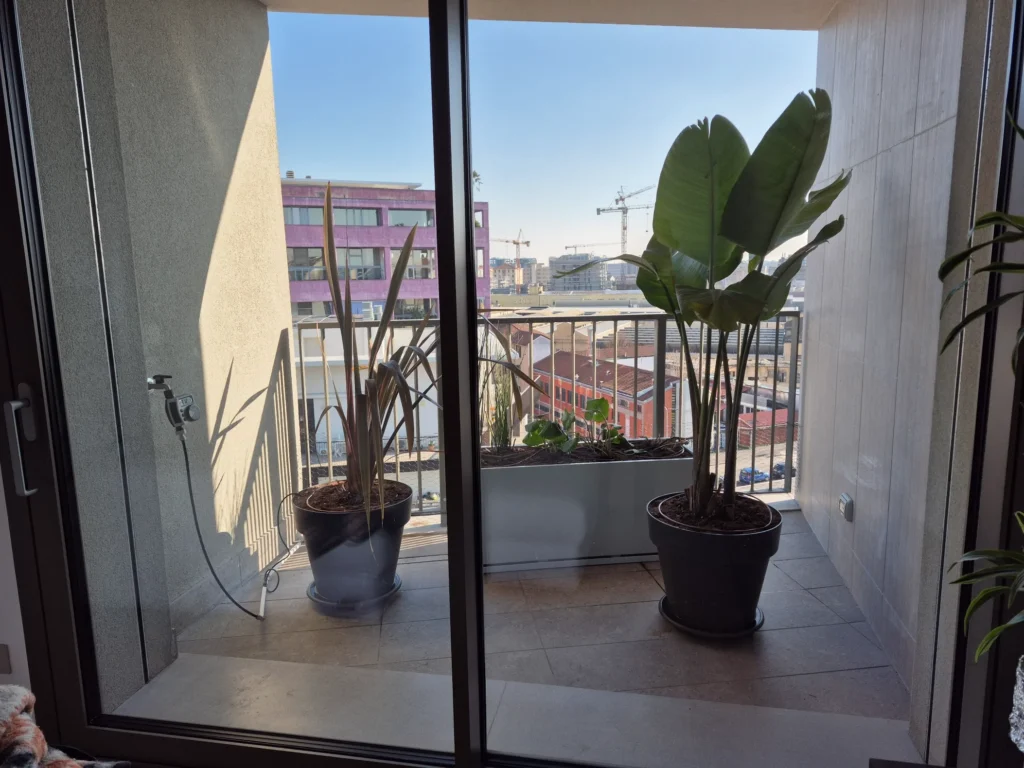 Terrazzi esotici